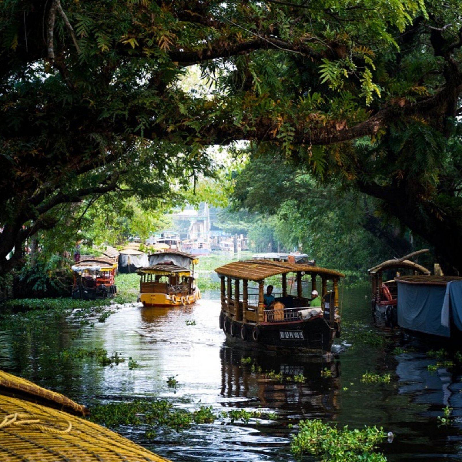 Kerala – Backwaters